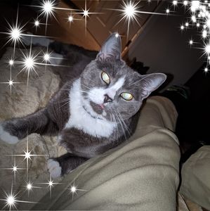 Meet your Posher, Sherry